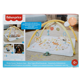 Fisher Price Newborn – Simply Senses newborn Gym (HRB15) / Toys - Αταξινόμητα -  - Techbox