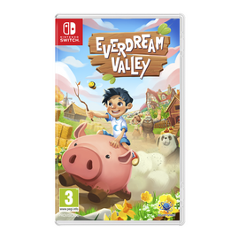 Everdream Valley / Nintendo Switch | Techbox