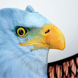 3D Eagle Kite / Gadgets - Αταξινόμητα -  - Techbox