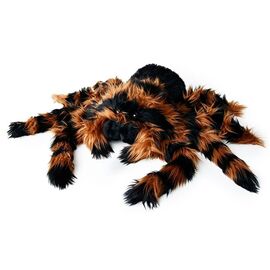 Giant Tarantula / Gadgets