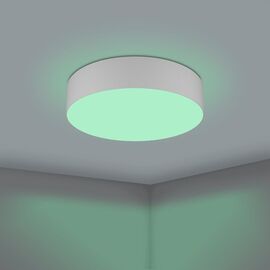 EGLO - Romao-Z loft lamp gray Ø57 - RGB + TW - Zigbee, Bluetooth / Electronics | Techbox