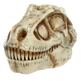 GrossMos - Blind Dino S1 (121046) / Toys