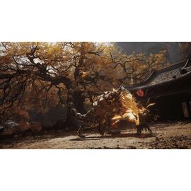 Black Myth: Wukong / PlayStation 5 | Techbox