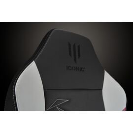 Apollon Collector / Assassin'S Creed   Black seat + grey/red / Computers