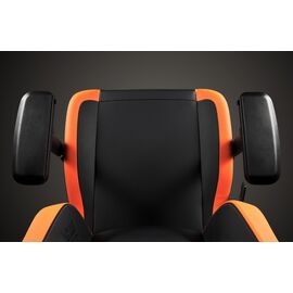 Apollon Collector / Dbz Shenron   black seat + gold/grey / Computers - Gaming Furniture - Gaming - Techbox