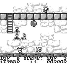 Rod Land (Collectors Edition) / Nintendo Entertainment System - Retro Gaming - Gaming - Techbox