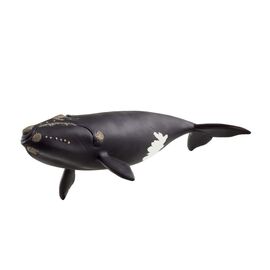 Schleich - North Atlantic Right Whale - (14878) / Toys