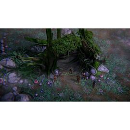 Pathfinder: Kingmaker Definitive Edition (Import) / PlayStation 4 - PS4 Games - Games - Techbox