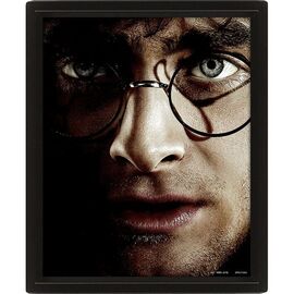 HARRY POTTER (HARRY VS VOLDEMORT) - FRAMED / Fan Shop and Merchandise |  Techbox