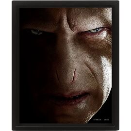 HARRY POTTER (HARRY VS VOLDEMORT) - FRAMED / Fan Shop and Merchandise |  Techbox