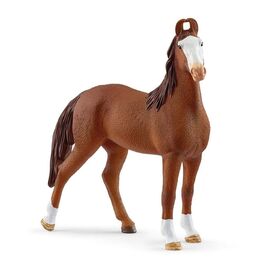 Schleich - Marwari Mare - (14897) / Toys