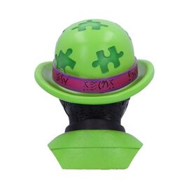 DC Riddler Box / Fan Shop and Merchandise |  Techbox
