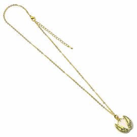 Harry Potter Golden Egg necklace |  Techbox