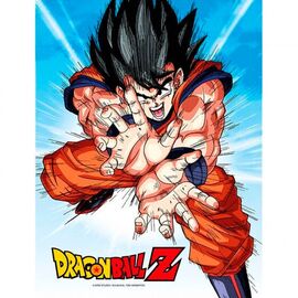 Dragon Ball Z Goku Kame glass poster - Home Decoration - Gifts - Techbox