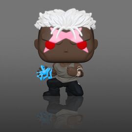 POP figure Fullmetal Alchemist Brotherhood Scar Exclusive |  Techbox