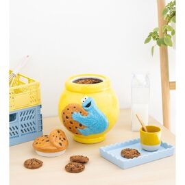 Sesame Street Cookie Monster Biscuit box