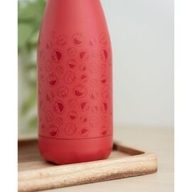 Sesame Street Elmo stainless steel bottle 260ml |  Techbox