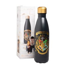 Harry Potter Hogwarts Stainless steel bottle 500ml |  Techbox