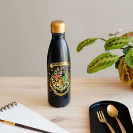 Harry Potter Hogwarts Stainless steel bottle 500ml |  Techbox