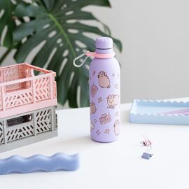 Pusheen Moments Stainless steel bottle 500ml |  Techbox