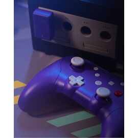 Retro-Fighters - BattlerGC 2.4G Controller - Purple / Video Games and Consoles