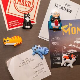 Cat Lady Magnets / Gadgets - Αταξινόμητα -  - Techbox