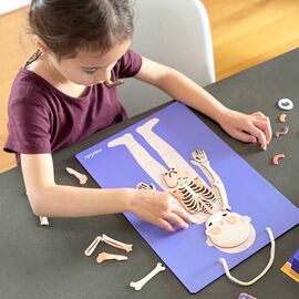 mierEdu - Magnetic Learning Box - All About Body and Emotion (Danish) - (ME097D) / Toys - Αταξινόμητα -  - Techbox