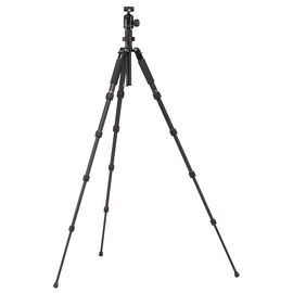 Rollei - Compact Traveler No. I Carbon Black / Electronics