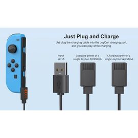Deep Explorer - 2 in 1 Charger / Nintendo Switch