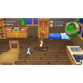 Harvest Moon: The Lost Valley & Skytree Village (Collector's Edition) / Nintendo Switch - Nintendo Switch Games - Games - Techbox