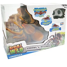 Real Wild - Giant Tarantula Spider (20316) / Toys