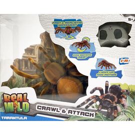 Real Wild - Giant Tarantula Spider (20316) / Toys