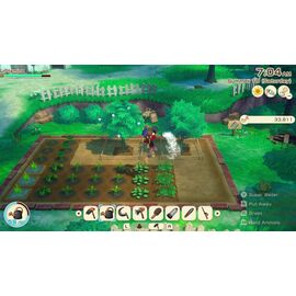 Story of Seasons: Grand Bazaar (Limited Edition) / Nintendo Switch - Nintendo Switch Games - Games - Techbox