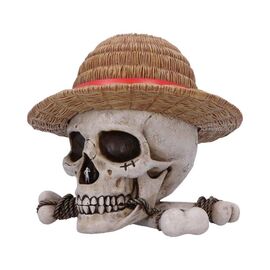 TBN One Piece Luffy Jolly Roger Box / Fan Shop and Merchandise |  Techbox