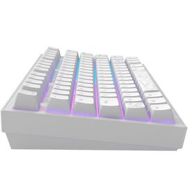 Dark Project - Nostra White 81 RGB / Computers
