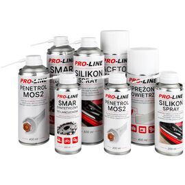 Silicone spray grease for seal care PRO-LINE 500ml