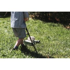 Dantoy - Green Garden - Lawn mower (4733) / Toys