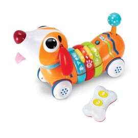 Winfun - R/C Rainbow Pup (1142-NL) / Toys