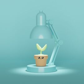 Winkee - Mini Plant Lamp / Gadgets