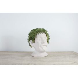 Winkee - Genius Chia Planter - Compact / Gadgets