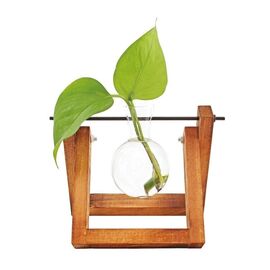 Winkee - Hydro Vases Flower Vase / Gadgets