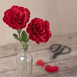 DIY Kit - Crepe Paper (209003) / Toys