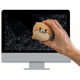 Winkee - Stress ball and screen cleaner - Hamster Tommy / Gadgets