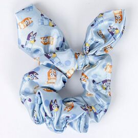 Bluey beauty set