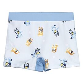 Bluey boxer swimwear