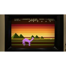 Llamasoft The Jeff Minter Collection / PlayStation 5 - PS5 Games - Games - Techbox