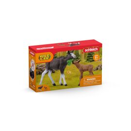 Schleich - Moose Family (42629) / Toys