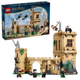 LEGO - Harry Potter TM - Hogwarts Castle: Flying Lessons (76447) / Toys