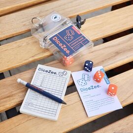 Dicezee Travel Game / Gadgets