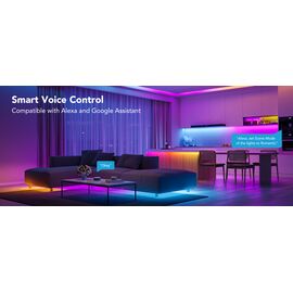 Govee - RGBIC Basic Wi-Fi + Bluetooth LED Strip Lights (10 Meter) / Electronics